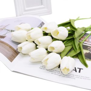 Tulips Flowers