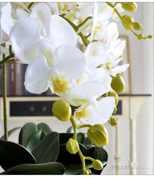 Orchid Flowers (Latex Coating Butterfly Real Touch  8-Heads) - Image 5
